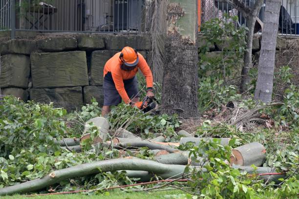 Best Commercial Tree Services  in Bradford, TN